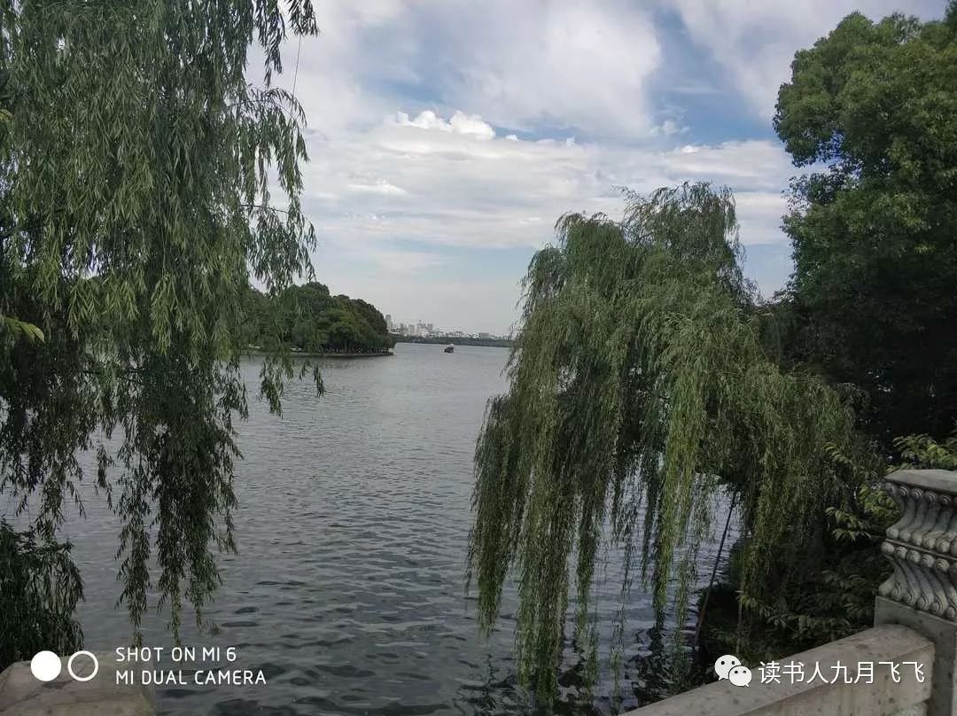 杭州嘉绿苑中学录取率,杭州嘉绿苑中学招生