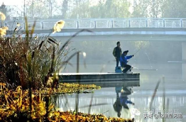 无锡秋游胜地最全推荐,无锡秋游自驾绝佳去处