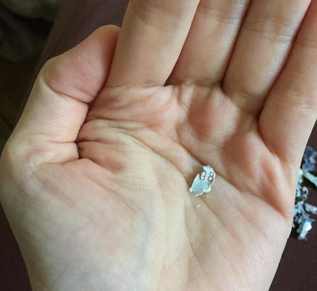 养鹦鹉每天花费时间,养鹦鹉需要花费多少时间陪它