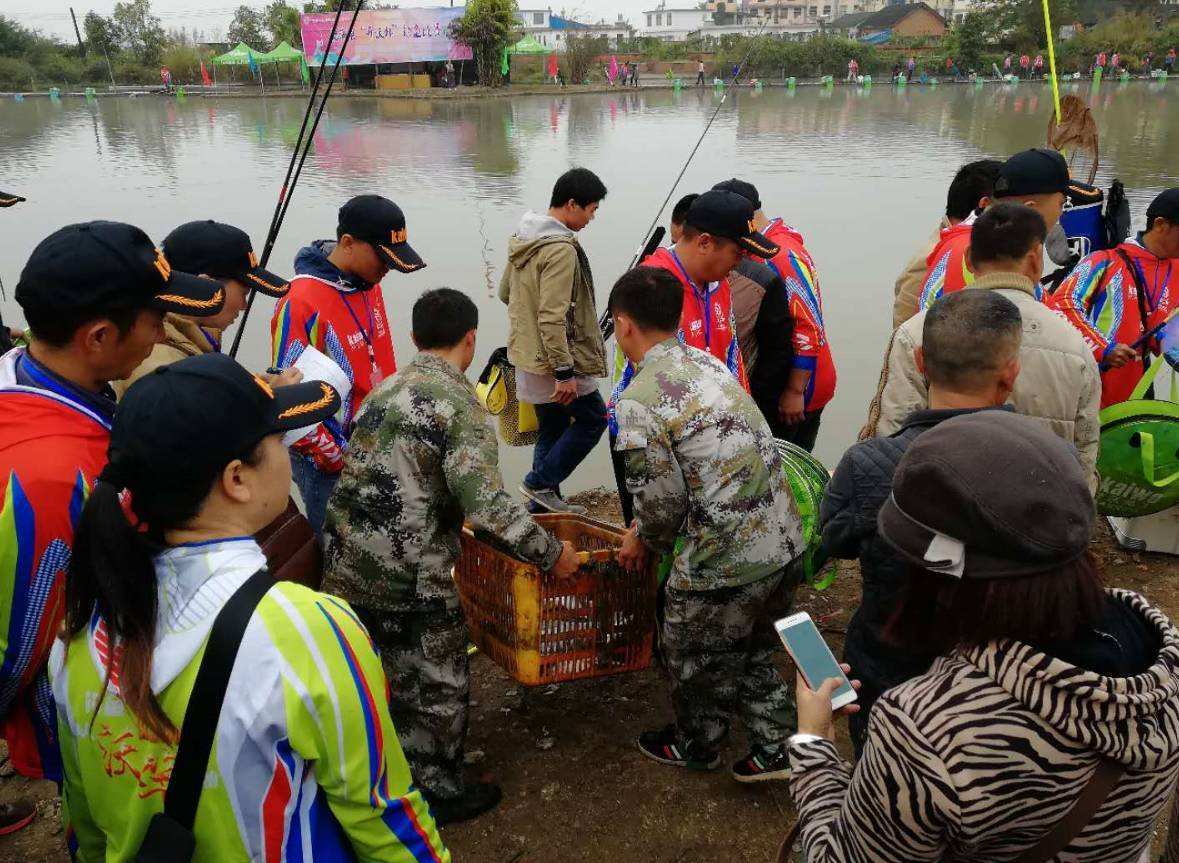 新手野钓带几根鱼竿 (钓鱼人一般带几根鱼竿)
