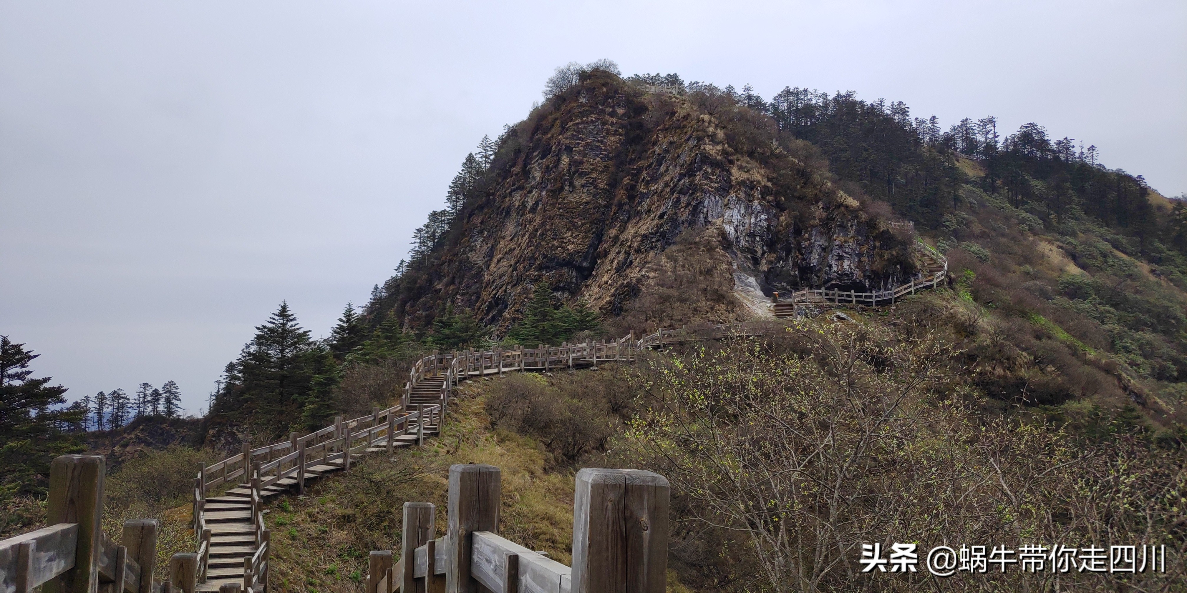 成都去西岭雪山两天一夜旅游团,成都出发雪山旅游