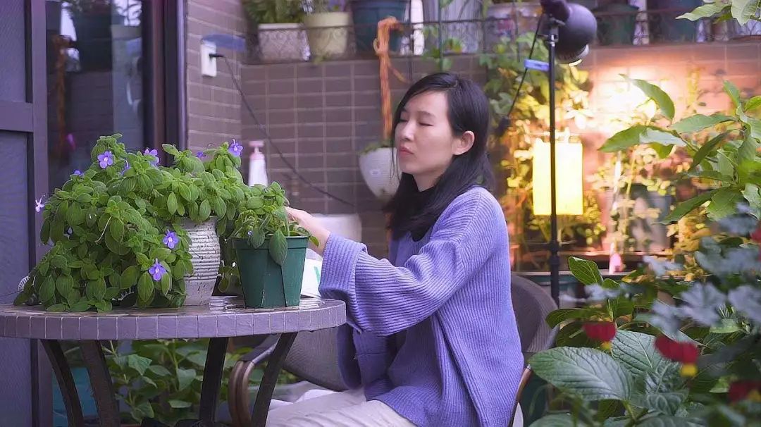 植物出现倒伏,怎样防止植物倒伏