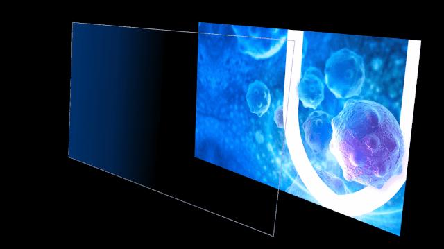 ppt中许多照片怎样处理好看,ppt中的图片式表格怎么处理