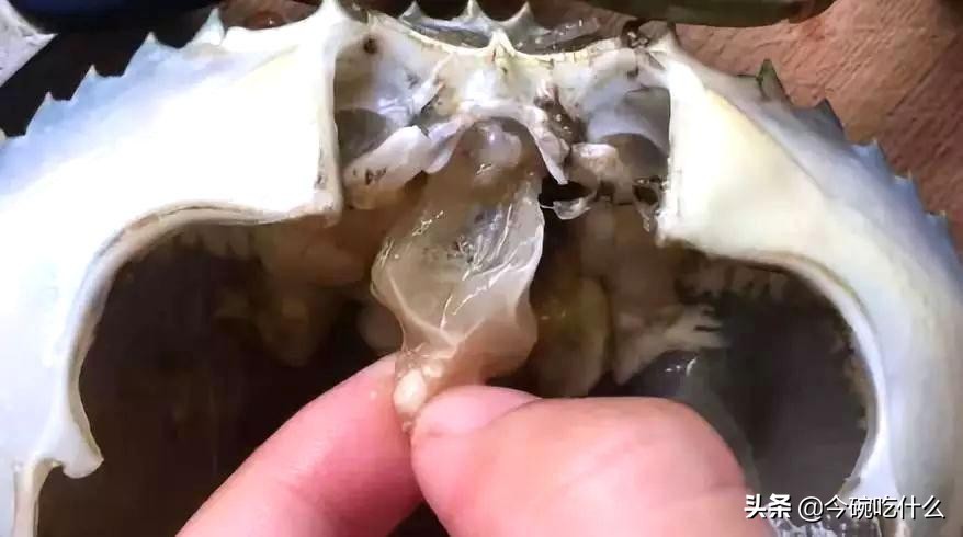 不放水怎么蒸大闸蟹螃蟹最好吃,螃蟹除了清蒸外还能怎么做