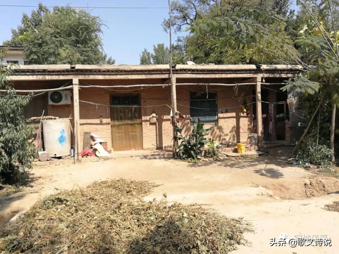 冠县贾镇高庄铺村,冠县乡韵北馆陶宗屯村