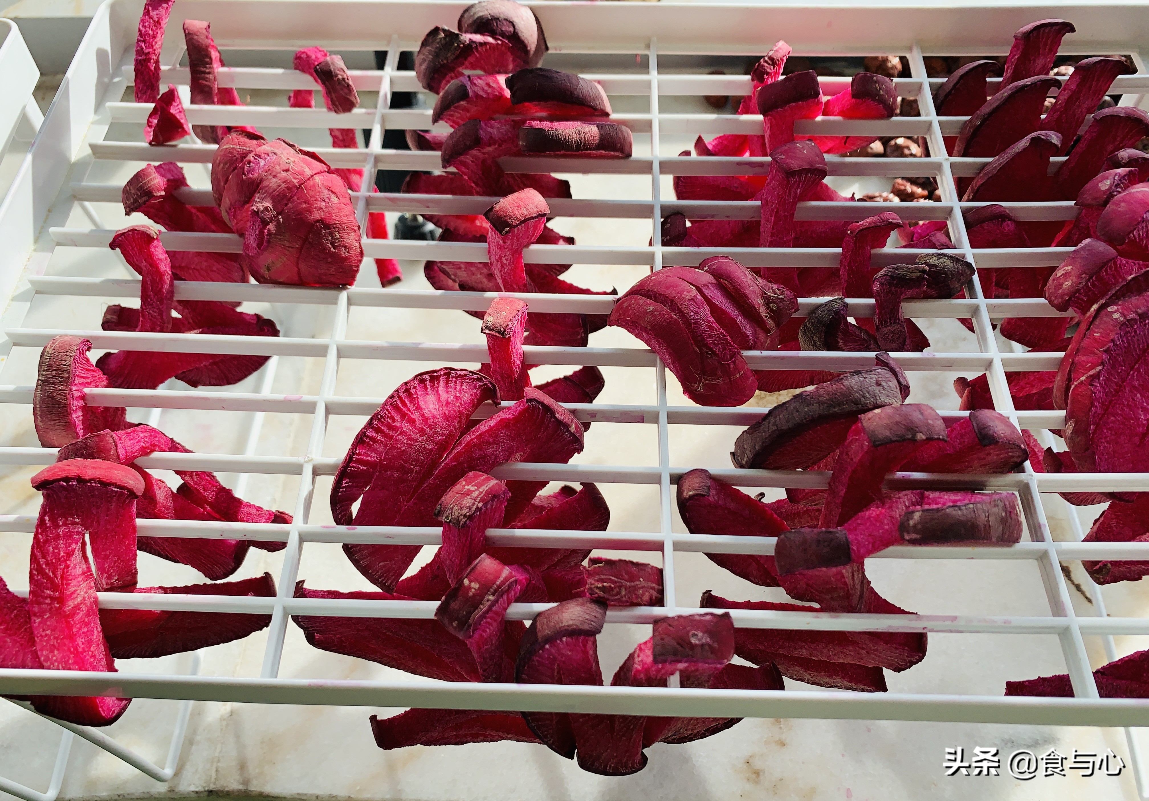 每日健康美食101种,一周健康营养美味食谱