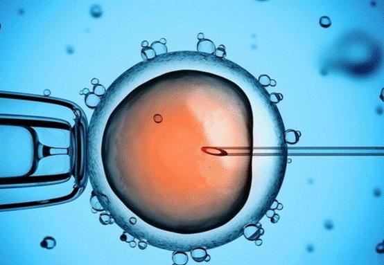 飞包｜抵抗衰老，这7种成分一定要深度了解