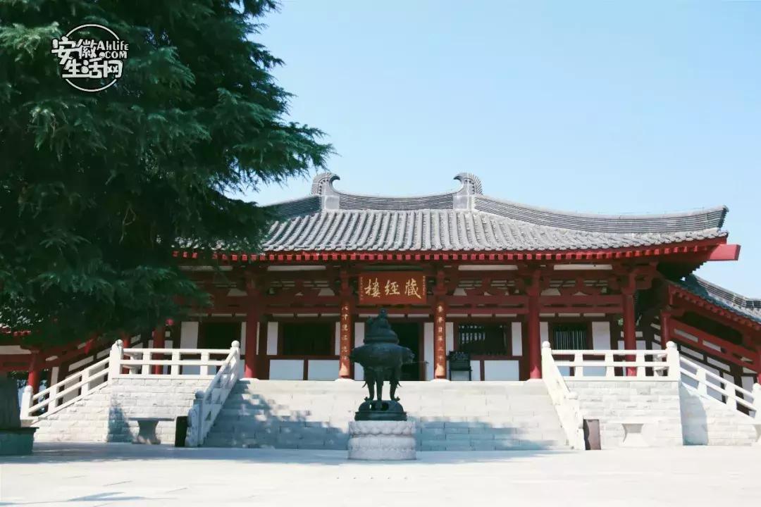 合肥一日游景点有哪些好玩的,合肥一日游最佳景点攻略