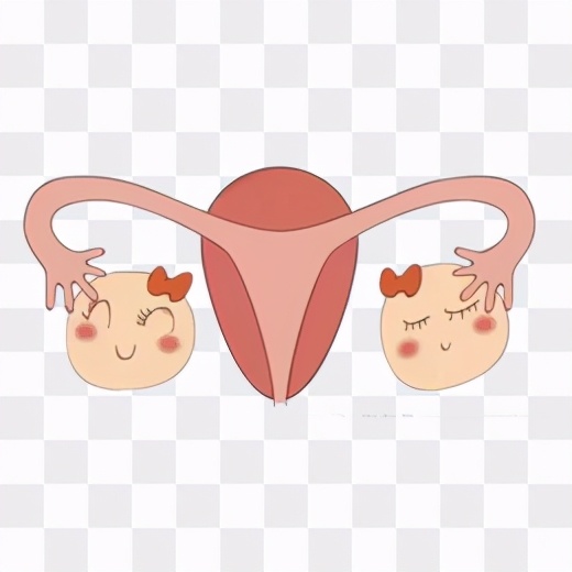 人缺失一个肾有什么副作用,缺少器官能活多久