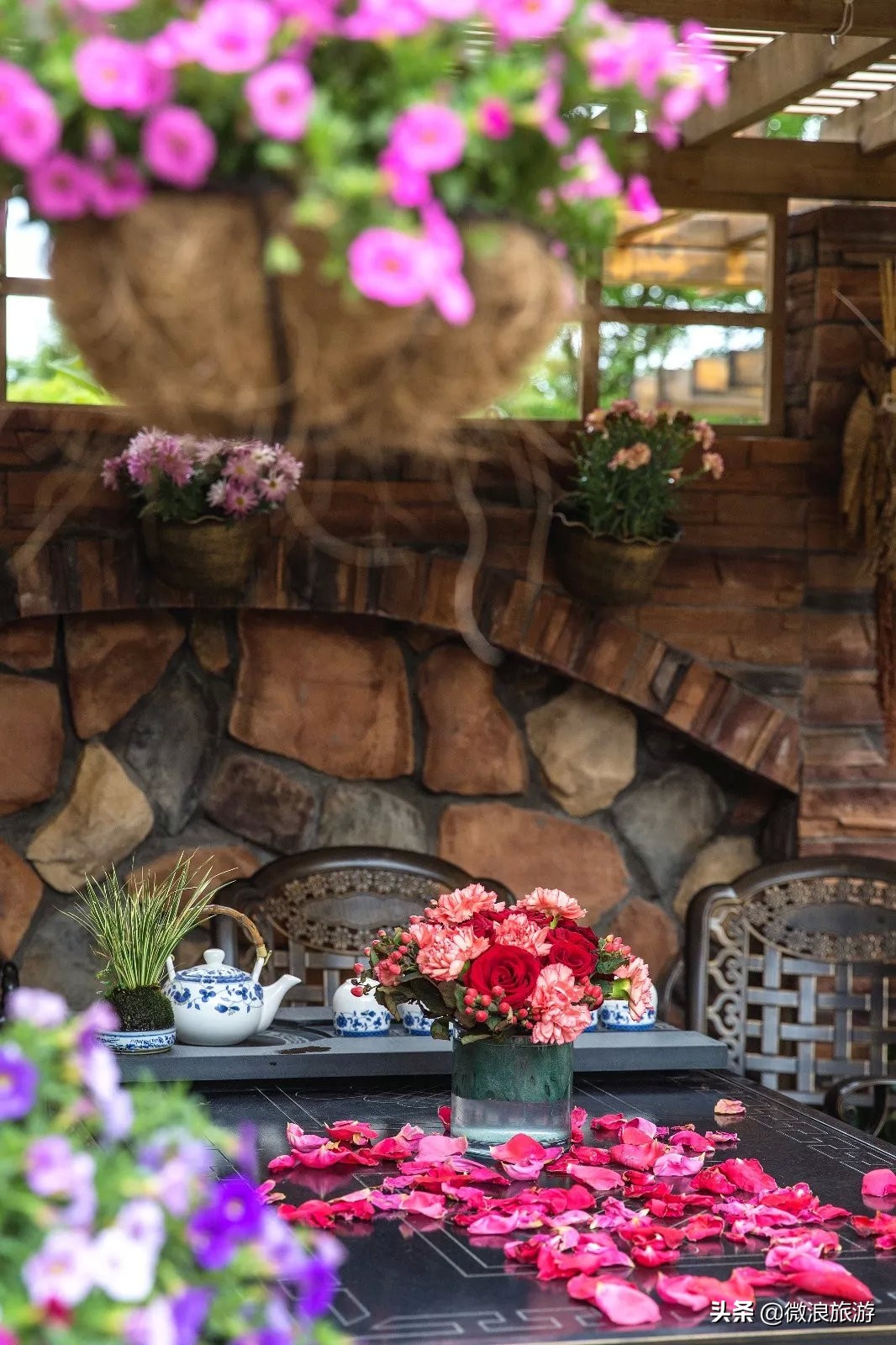 白鹭湾的“选美大赛”，谁是你心中最美的“姑娘”