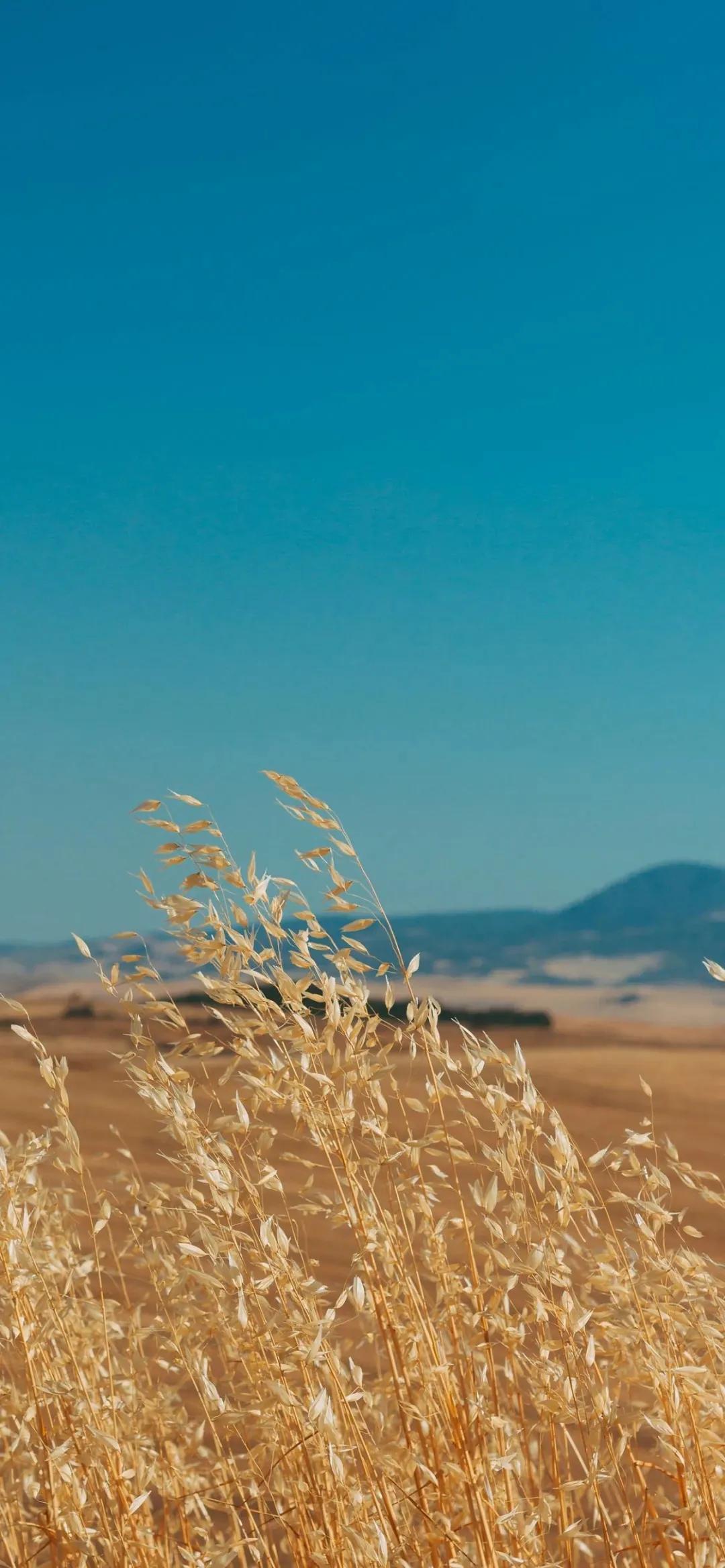 精选壁纸高清无水印风景,精选高清全面屏壁纸