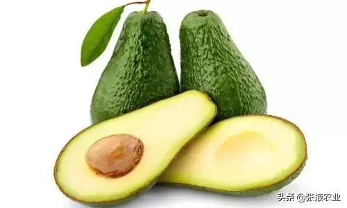 牛油果的健康骗局,牛油果是个骗局么