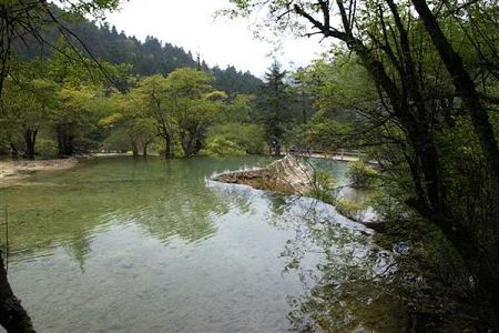 2所攀枝花招专科生的学校,分数线多少?
