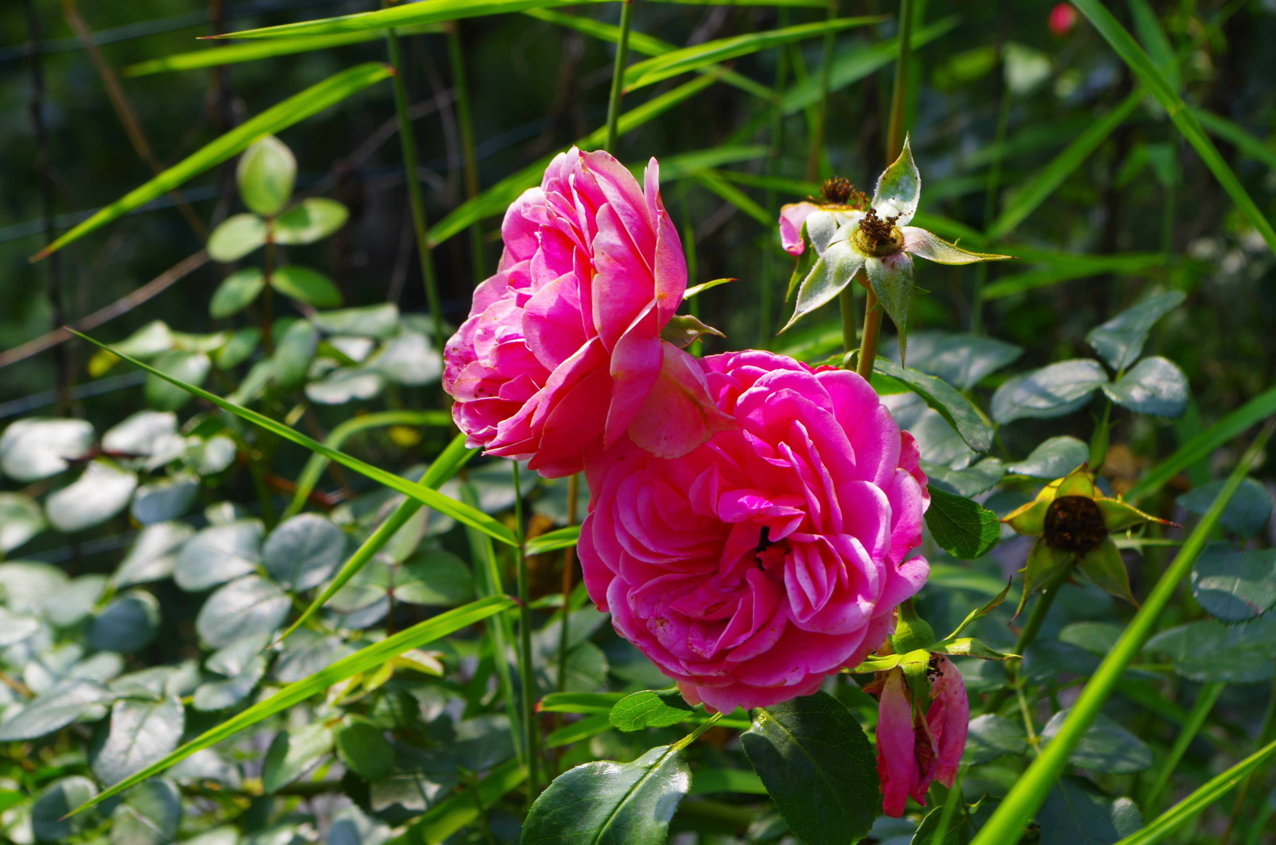 石家庄清凉山游玩需要多长时间,清凉山爬山详细爬山攻略