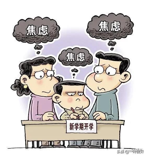 过来人小学学习建议,上海幼升小纠结