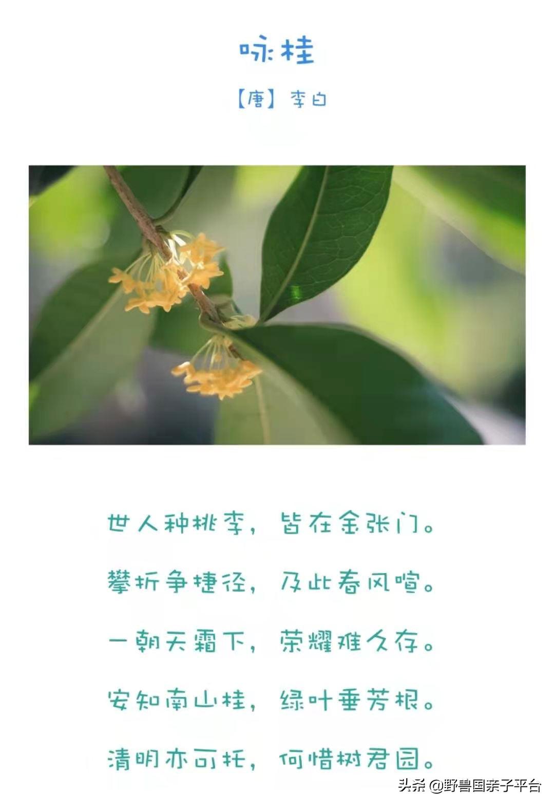 春天的花真的很美丽让人向往,春天的花也太美了