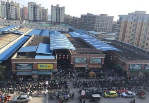 和田玉与天然翡翠,《一半海水一半火焰》