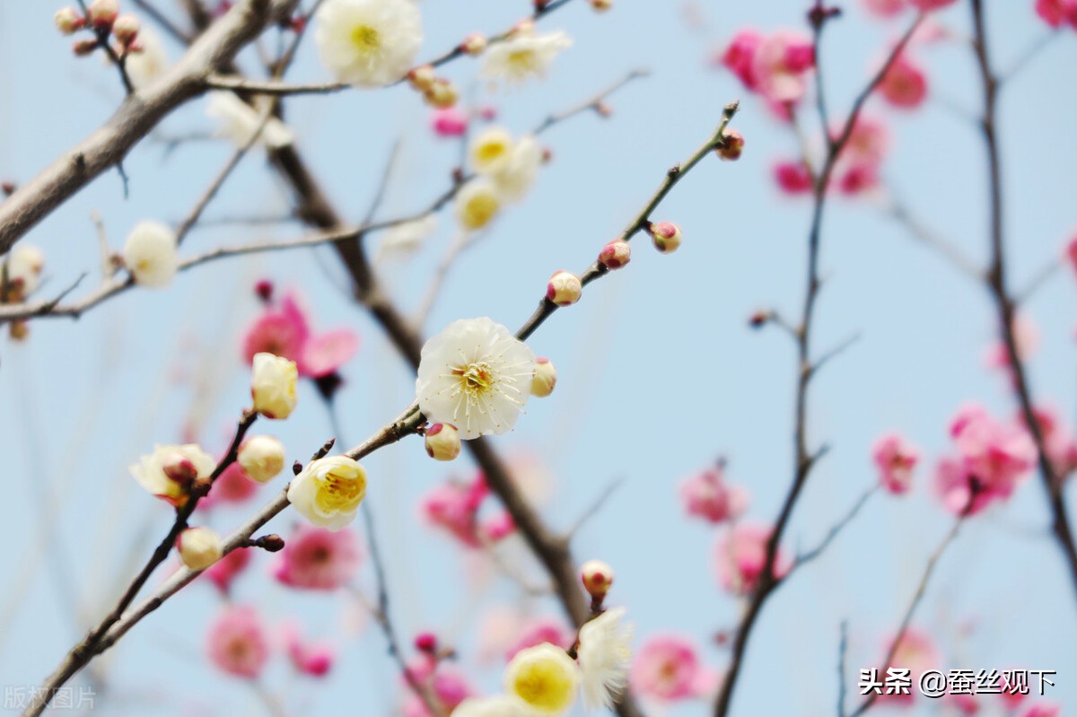 无锡宜兴百强县多少名,百强县排名宜兴有超过江阴的吗
