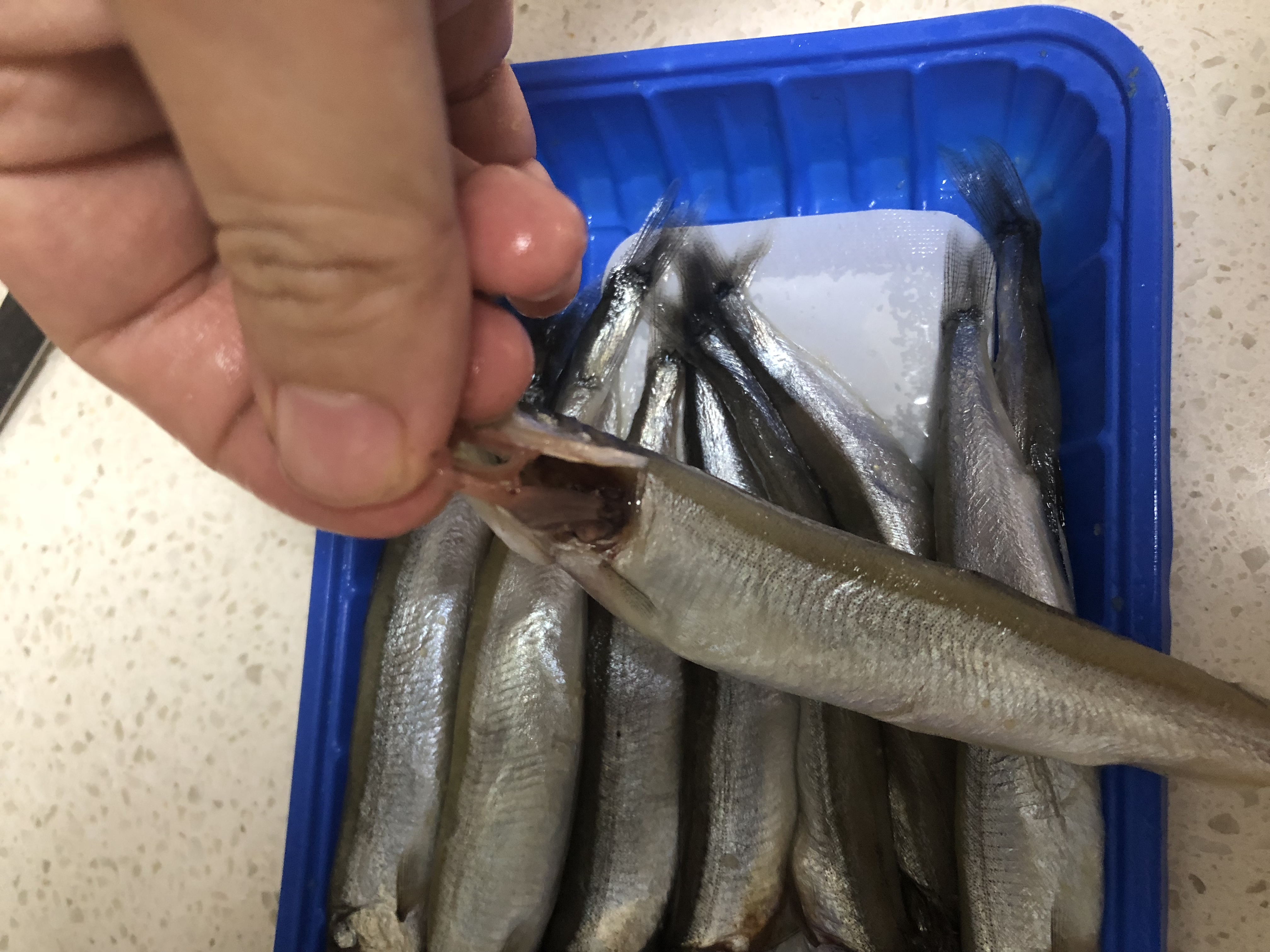 不用动手就能吃到美味佳肴,简单易学美味佳肴杠杠滴