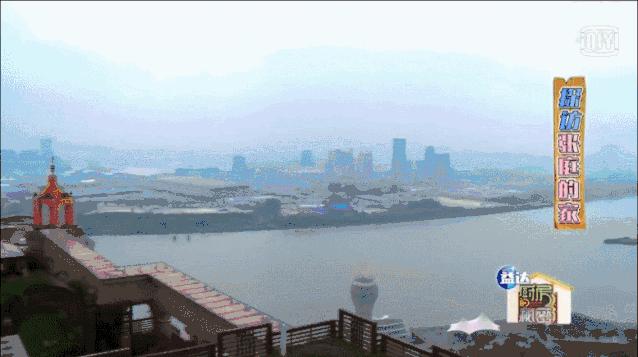 张庭夫妇微商帝国如何炼成,明星张庭的微商帝国有多强大