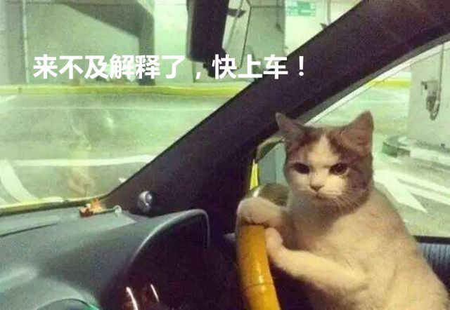 整车企业配套是什么意思,国产汽车主机厂缩写