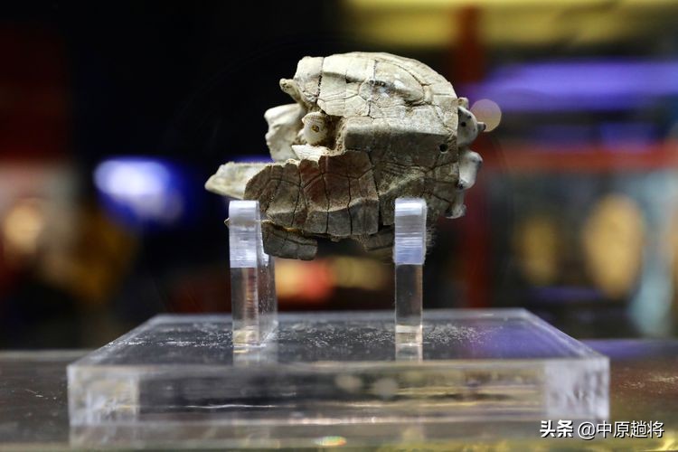 安阳殷墟遗址最著名的是什么遗址,安阳殷墟宫殿宗庙遗址讲解