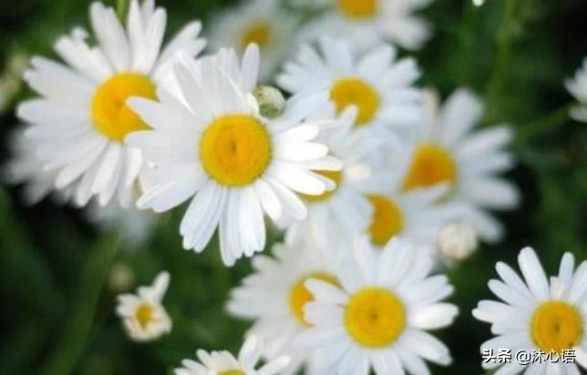 走了下坡路腿软怎么办,走在下坡路上