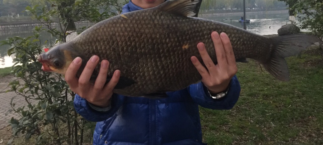 冬季钓鱼技巧之老钓手的秘密,冬季钓鱼的大技巧爆护