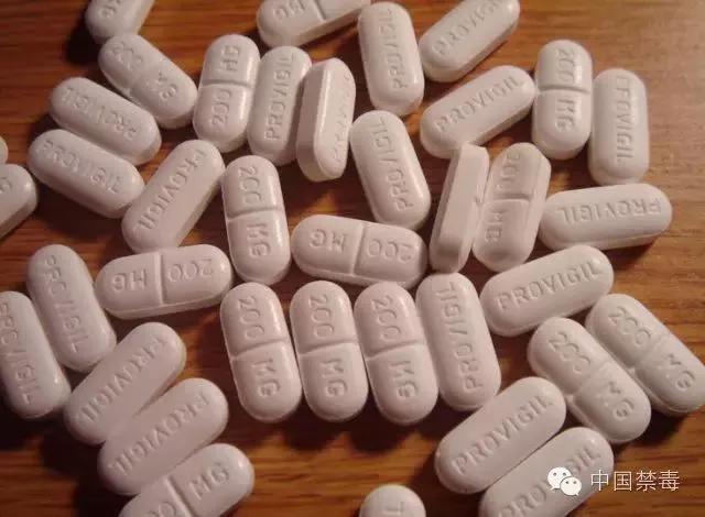 慌了慌了!开学就考试,好想要一片记忆面包!结果越吃越慌