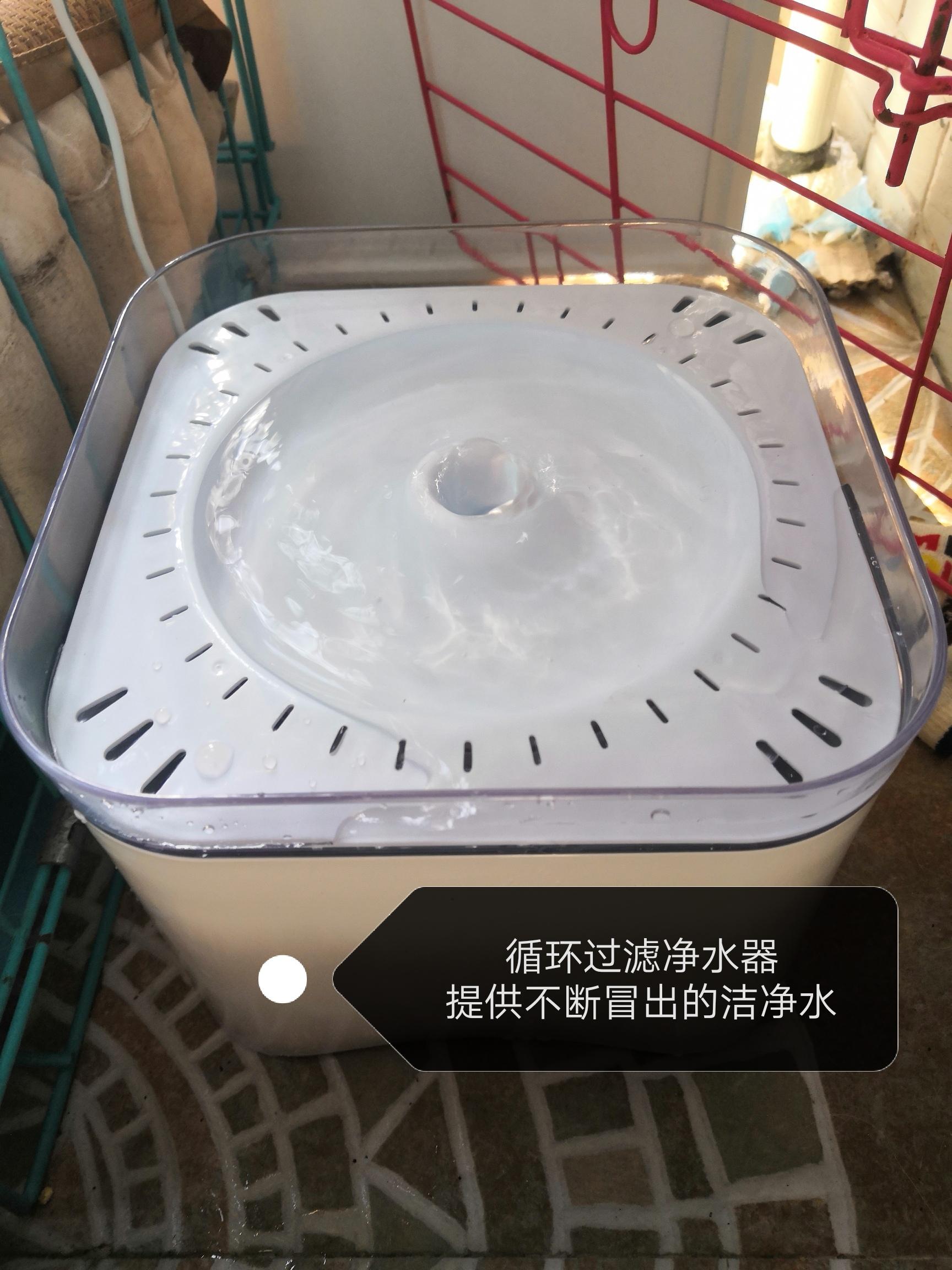 遛狗大爷传授养狗实用技巧,科学养狗狗攻略