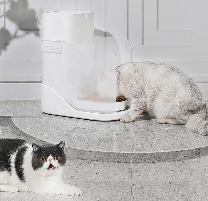 猫咪必备10大神器,猫咪必备神器排行