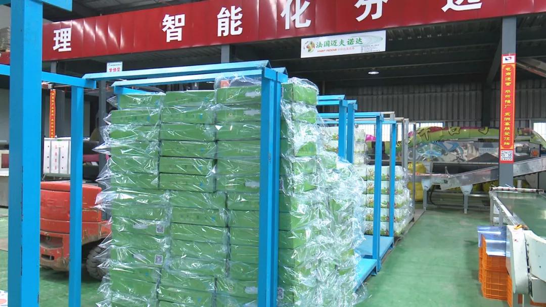 健康防疫安全出行,健康过双节疫情防控提醒请查收