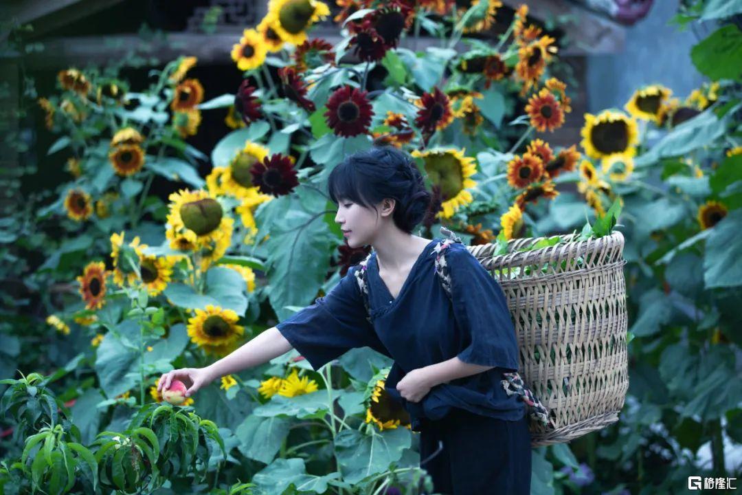 李子柒19岁视频,李子柒背后的资本秘密