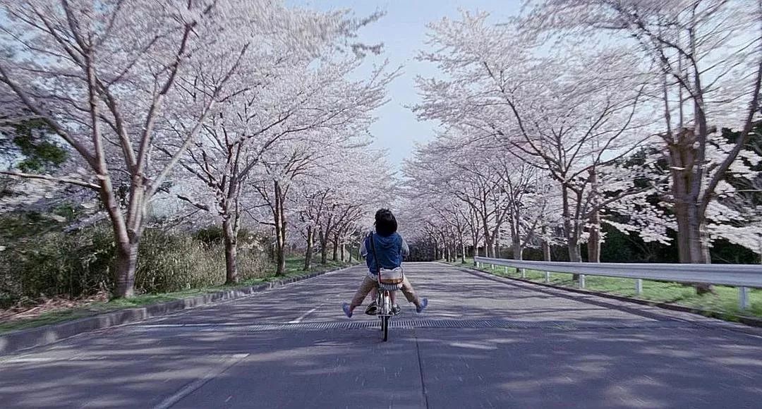 如何过上精致的生活,没有钱怎么才能过上精致的生活