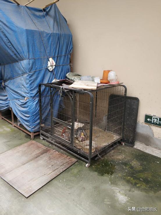 投资200亿的合肥京商商贸城现状如何?班长实地探访京商