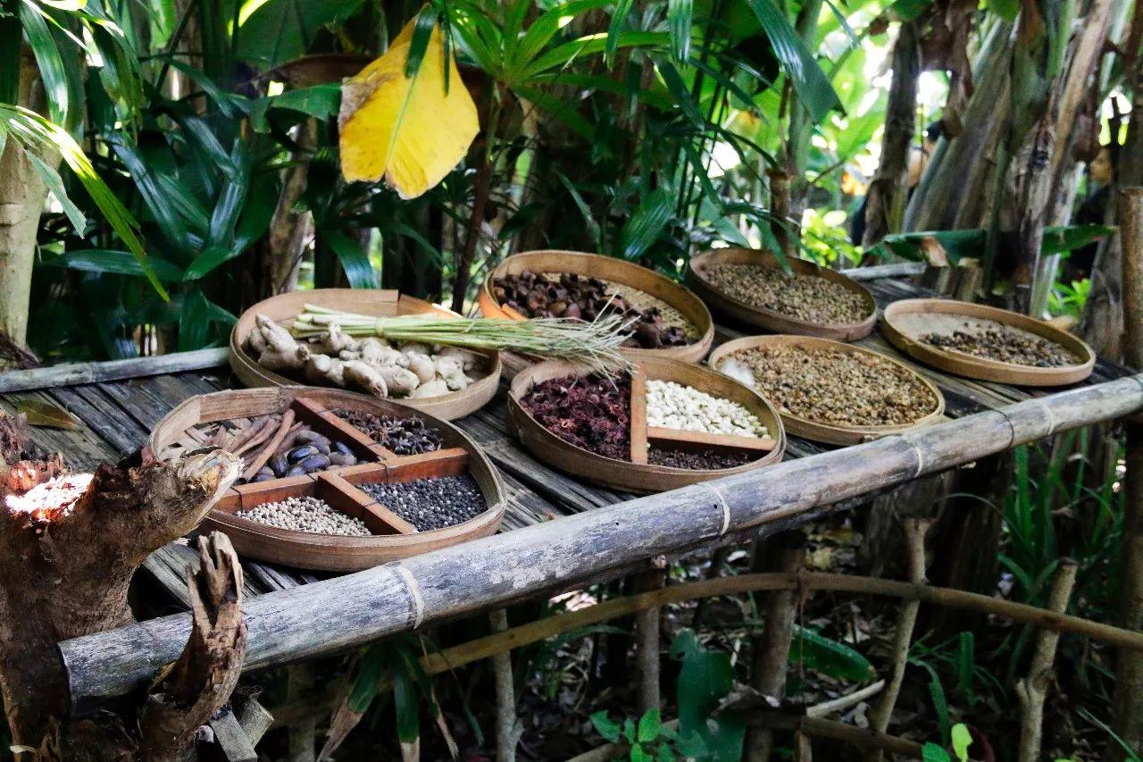 一杯咖啡卖到6200元,全网最正宗的猫屎咖啡