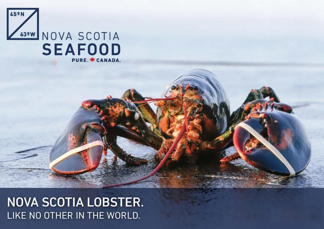 缇庡浗娉㈠＋椤垮埌缃楀垏鏂壒,浠庢尝澹】鍒板姞鎷垮ぇ