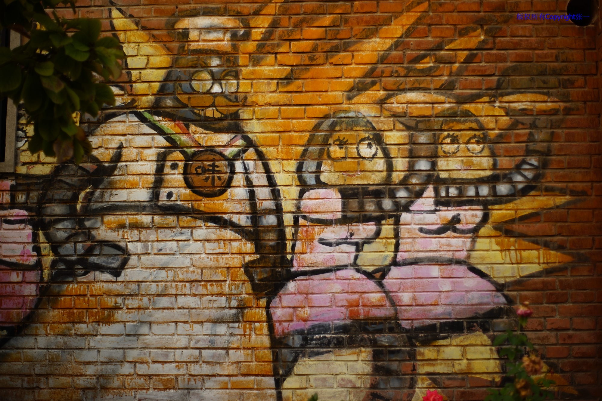 凤凰dc818相机现在能用吗,凤凰dc818多少钱一台