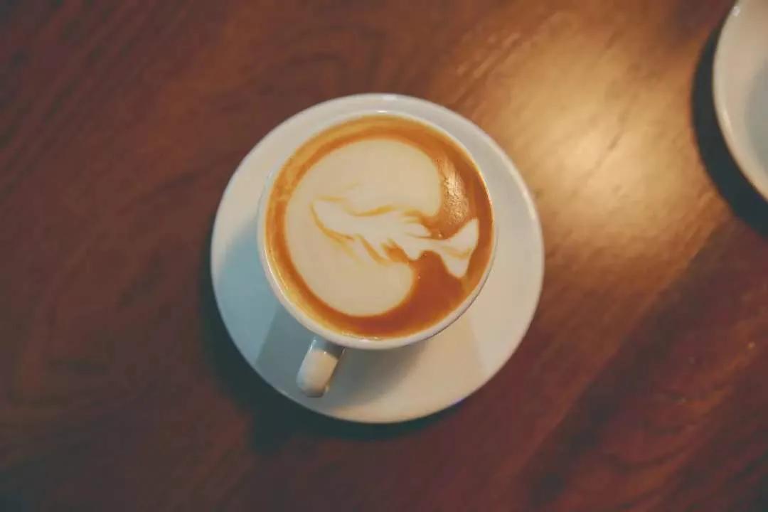 外面零下20℃,绿岛却沸腾了...