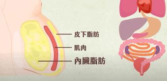 抚平小肚子训练动作,抚平小肚子减肥健身操