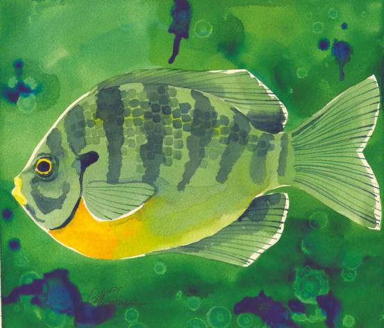 水彩绘画用的纸,水彩绘画用的画笔