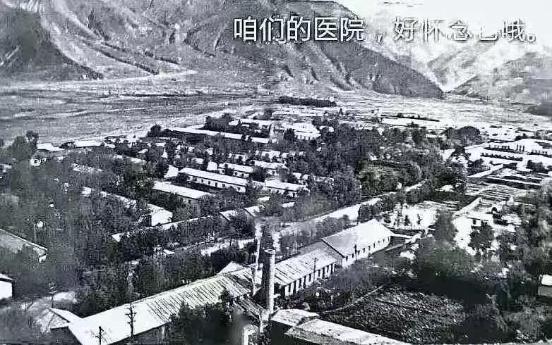 在*藏西**,我们的第三*战野**医院,我们的芳华……