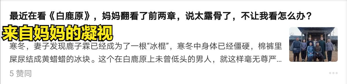 白鹿原中最悲惨的一幕,白鹿原中的败笔有哪些