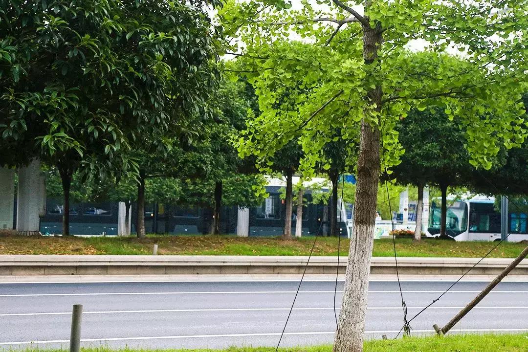 被误解的大秦帝国,被误解的河西