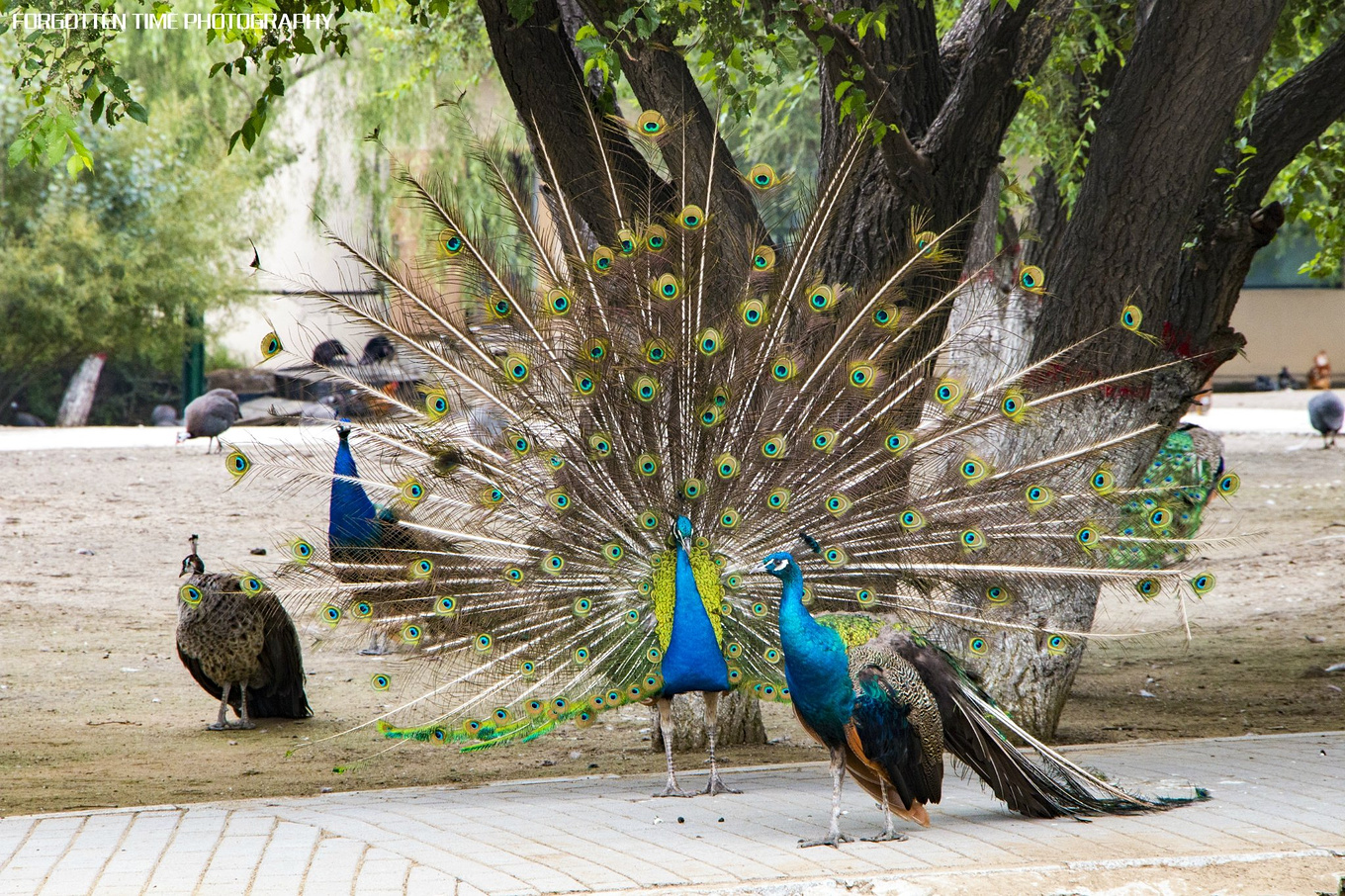 呼兰河口湿地有什么好玩的吗,哈尔滨呼兰河湿地美景