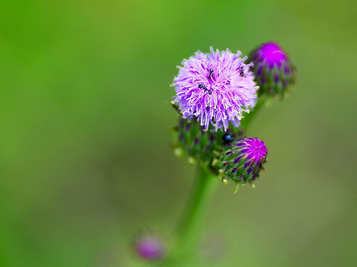 爽肤水推荐油皮痘肌科颜氏,科颜氏保湿爽肤水评测
