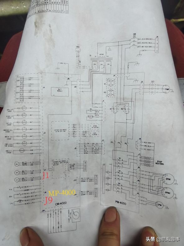 航海故事视频,航海王故事内容