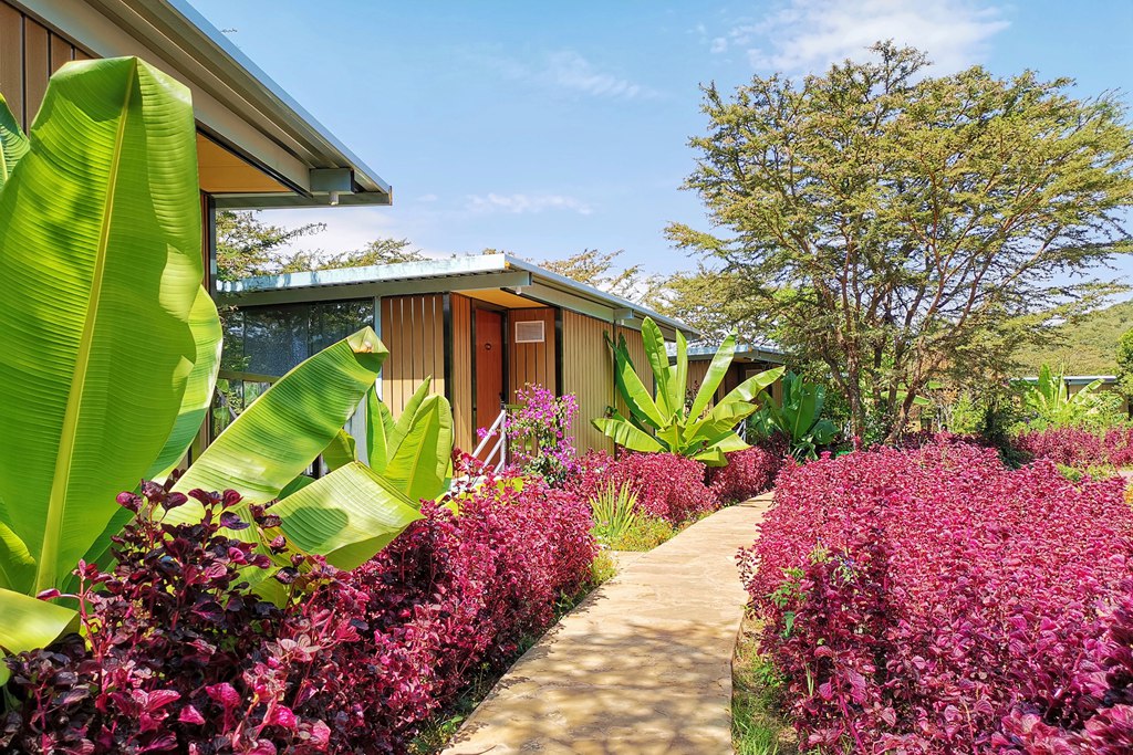 一个中国人在肯尼亚草原旅游创业：老外惊见中国速度，当地人感激