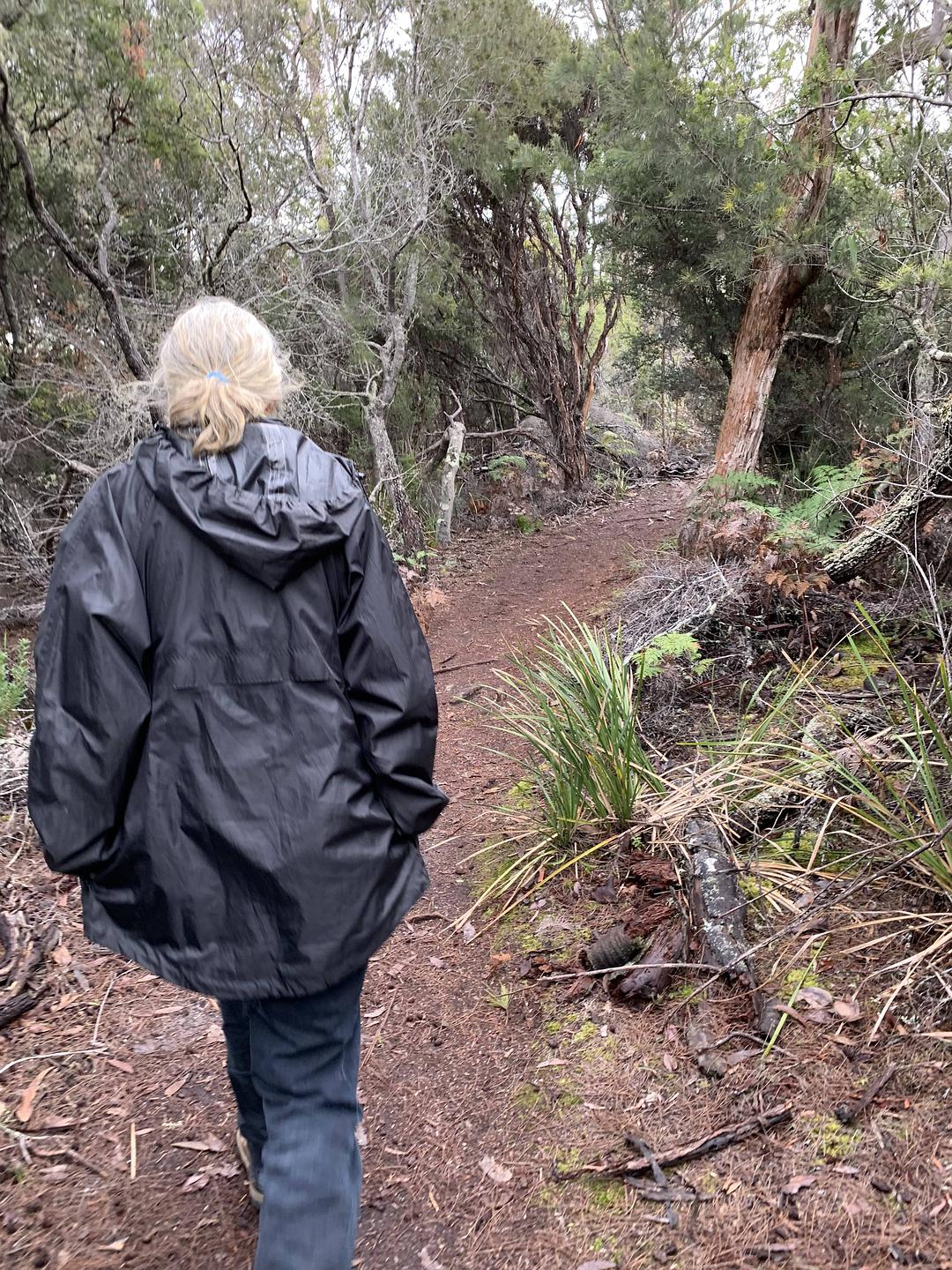 塔斯马尼亚心形小岛,降落西沙群岛