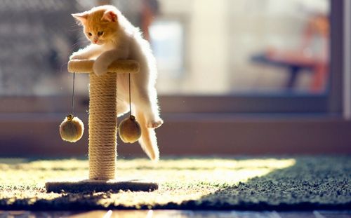 如果和女朋友分手了如何追她回来,女朋友说不合适分手怎么挽回